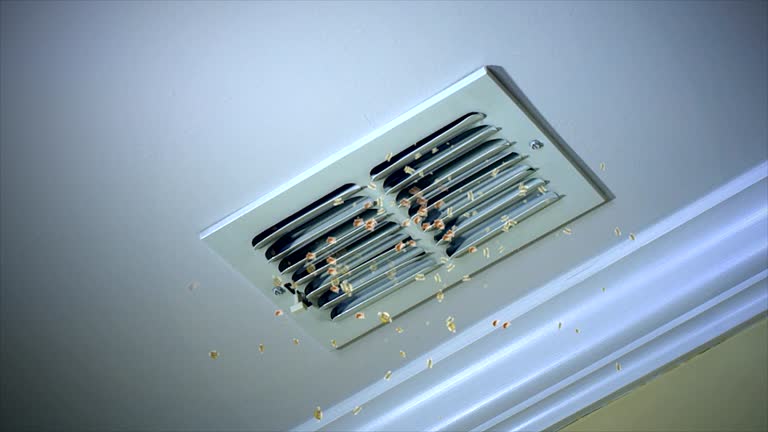 Reliable Langley Park, MD Airduct Cleaning Solutions